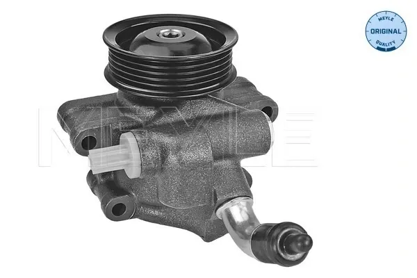 Direksiyon pompası Renault 19 I