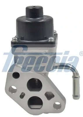 EGR valfi Ford Focus I