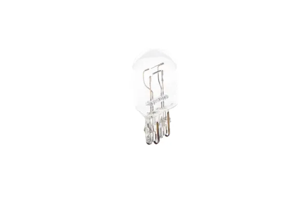 Ampul 1987302823 Bosch