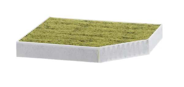 Polen filtresi FP2450 Mann-Filter