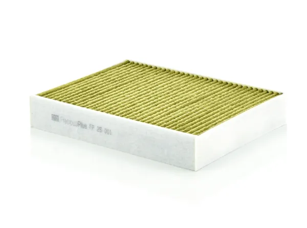 Polen filtresi FP25001 Mann-Filter