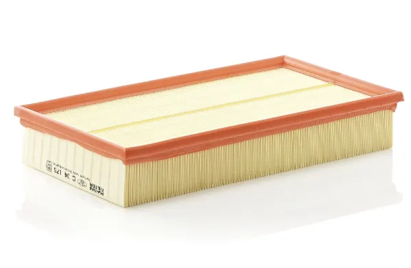 Hava filtresi C34175 Mann-Filter