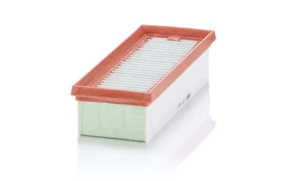 Hava filtresi C27010 Mann-Filter