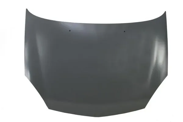 Kaput Renault Clio II