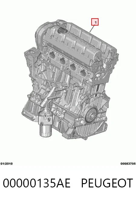Motor Peugeot 206 2A/C