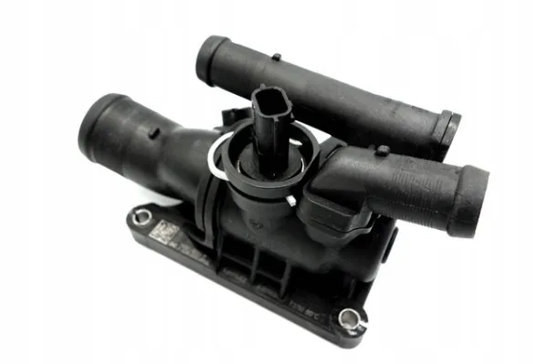 Termostat 110606973R Renault (RVI)